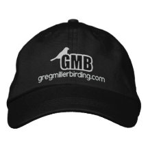 GMB basic embroidered logo hat with double stitch Embroidered Baseball Caps