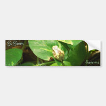 Go Green, Save me Bumper Sticker