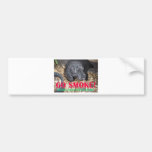GO SMOKE BUMPER STICKER