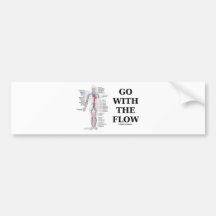Go With The Flow (Circulatory System Attitude) Bumper Stickers