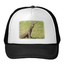 Goanna 9L36D-18 Hat