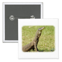 Goanna 9L36D-18 Pin