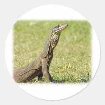 Goanna 9L36D-18 Sticker