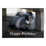 Goat Birthday Card