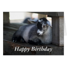 Goat Birthday Card