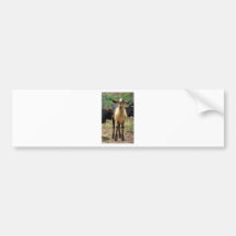 Goat Bumper Stickers