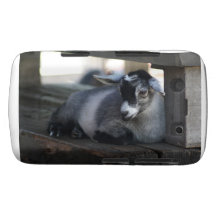 Goat Case-Mate Blackberry Case