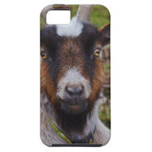 Goat close up. iPhone 5 case