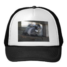 Goat Hat