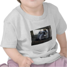 Goat Infant Tshirt