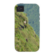 Goats on a very steep hillside iPhone 4 cover