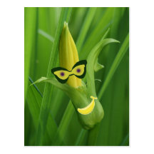 going  bananas postcards