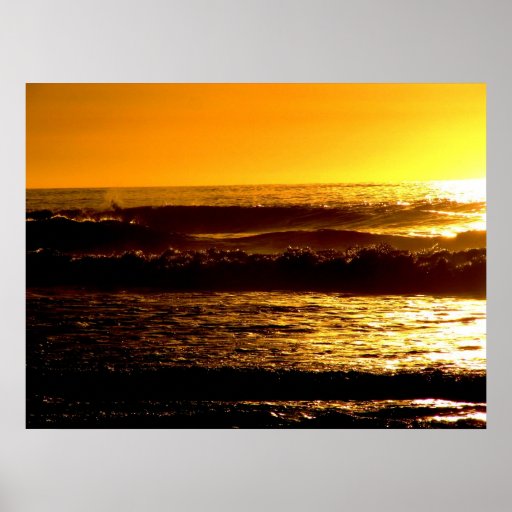 Gold Coast Posters, Gold Coast Prints, Art Prints, & Poster Designs