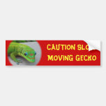 Gold Dust Day Gecko – Audition and Get Some Gecko Bumper Stickers