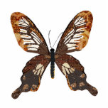Golddust Butterfly Photo Sculpture