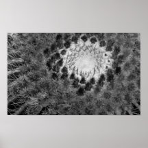 Golden Barrel Close Up In B & W Print