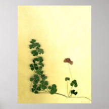 Golden Clover Dreams Posters