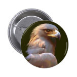 Golden Eagle Pins