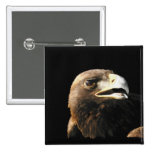 Golden Eagle Portrait Buttons