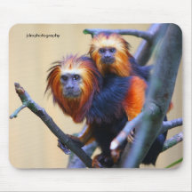 Golden Headed Lion Tamarin Mouse Pad
