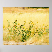 Golden Landscape Print