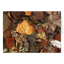Golden Leaf Cards