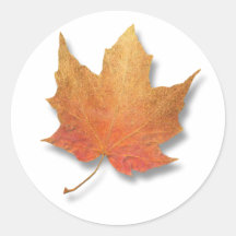 Golden Leaf Stickers