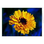 Golden Marigold and meaning Card