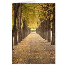 Golden Path Card
