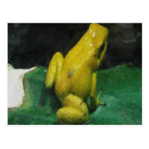 Golden Poison Dart Frog Post Card