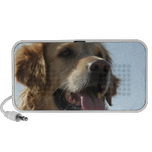 Golden Portable Speakers