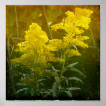 Golden Posters