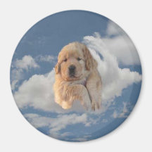 Golden Puppy Magnet Heavenly