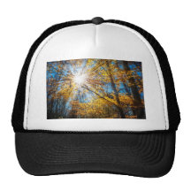 Golden Rays Trucker Hat