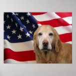Golden Retriever American Flag Print