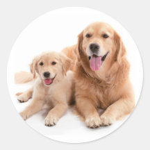Golden Retriever Buddies Stickers