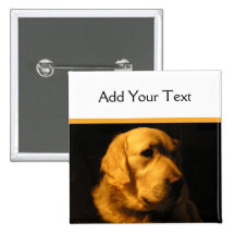 Golden Retriever Portrait Button