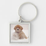Golden Retriever Pup in Snow Key Chain