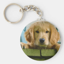Golden Retriever Puppy Dog Canis Lupus Familiaris Keychains