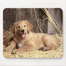 Golden Retriever Puppy Dog Mouse Pad