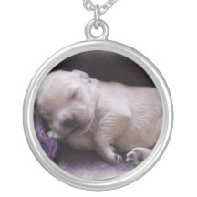 Golden Retriever, Puppy Jewelry