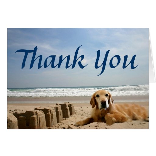 Golden Retriever Thank You Card Sandcastles Zazzle