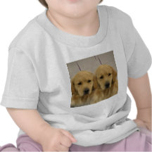 Golden Retriever Twins Baby T-shirt