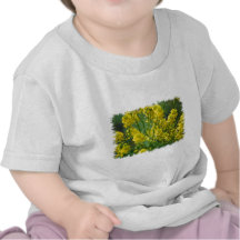 Golden Rod Tee Shirts