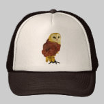 Golden Ruby Owl Lid hats