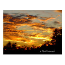 Golden Sky, by Clyde Dickinson 09' Postcard