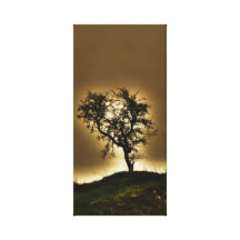 Golden Sky Canvas Print