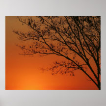 Golden Sky Print