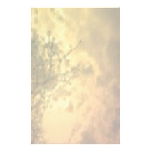 Golden Sky Stationery Design
