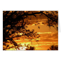 Golden Sky Through Trees Card